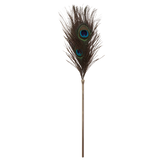 Peacock Tickler