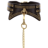 Studded Collar and Leash